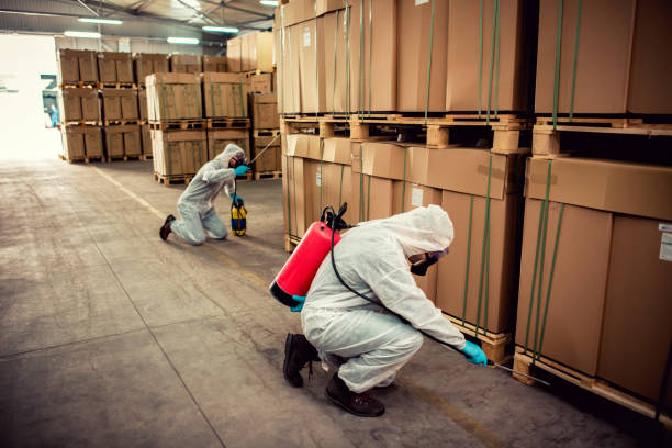 Best Cockroach Control Services  in Weeping Water, NE