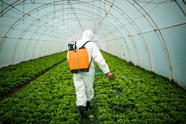 Best Local Pest Control Services  in Weeping Water, NE