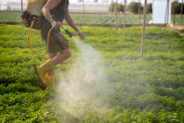 Best Commercial Pest Control Services  in Weeping Water, NE
