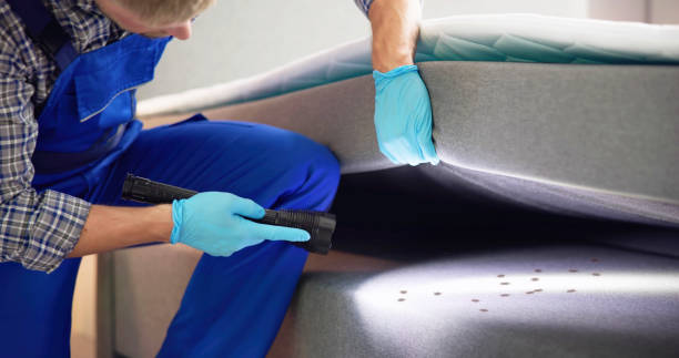 Pest Prevention Services in Weeping Water, NE