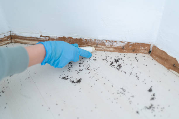 Pest Control for Restaurants in Weeping Water, NE
