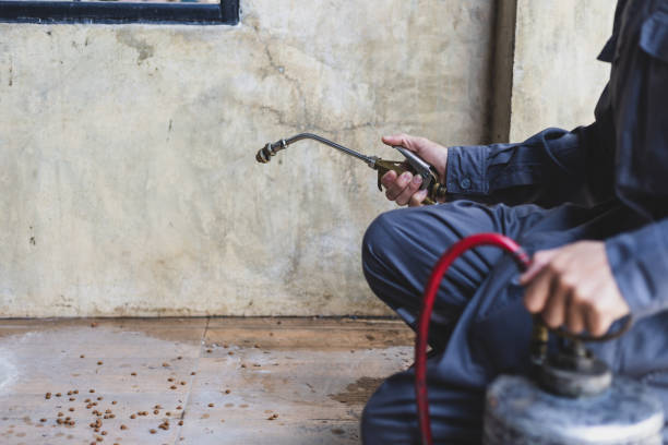 Best Pest Removal Services  in Weeping Water, NE